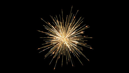 A Stunning Golden Fireworks Explosion Against a Dark Night Sky – High-Quality Festive Display