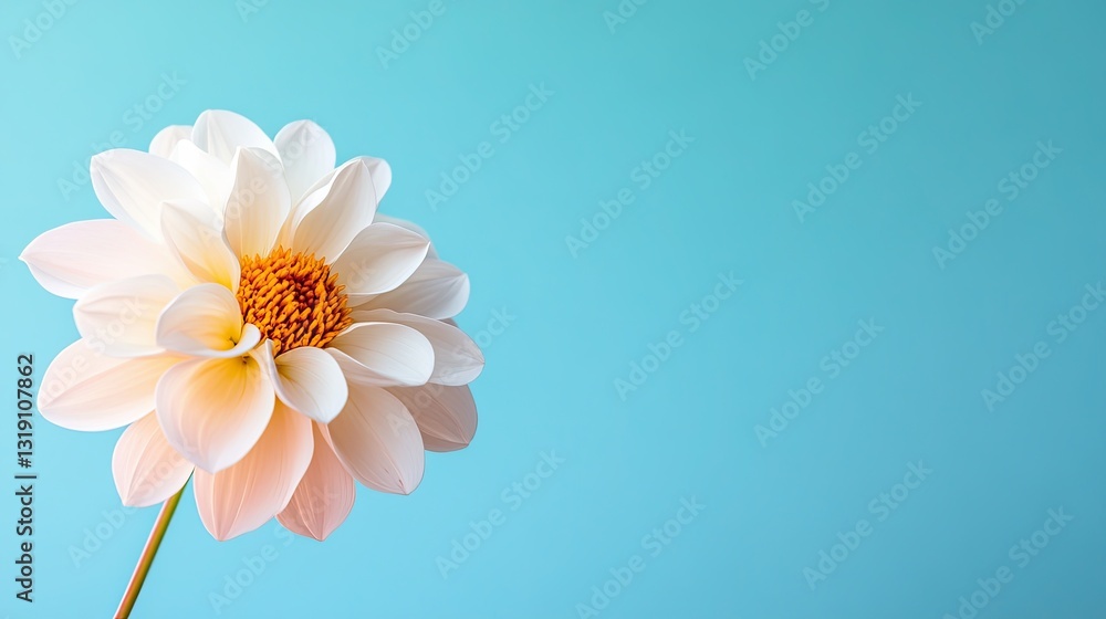 Poster a gradient background that smoothly transitions into a flower .
