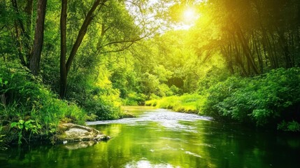 Fototapeta premium Tranquil river surrounded by lush greenery with dappled sunlight reflecting on water