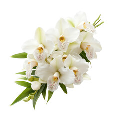 Obraz na płótnie Canvas A cluster of elegant white orchids with intricate details and vibrant green leaves, showcasing their natural beauty.