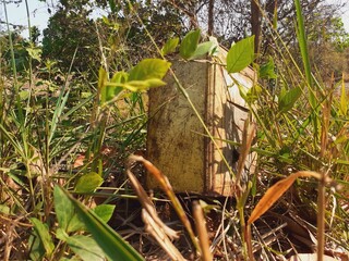 An old rectangular oil drum was left in the middle of nature.