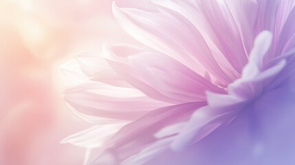 Fototapeta premium Smooth pastel gradient blending pink and lavender, creating calming modern aesthetic