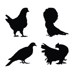 Set of pigeons black silhouettes illustration on white background Vol 02