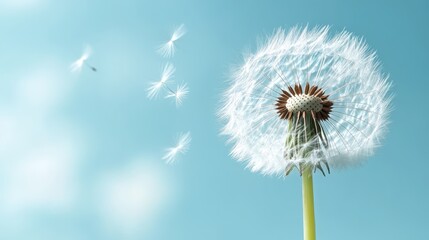 This dandelion stands majestically against a bright blue sky, emphasizing its delicate structure, symbolizing hope and the beauty of nature, perfect for evoking emotions of freedom.