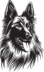 vector image of a belgian tervuren dog