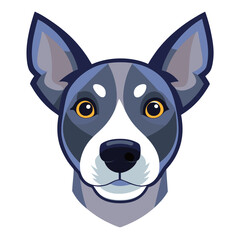 portrait of a black and white