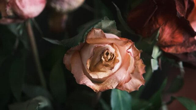 bouquet de fleurs fan&eacute;es