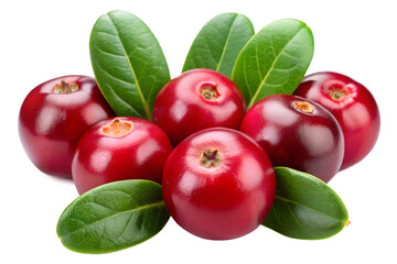 cranberry isolated on transparent background png