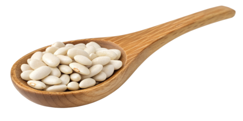 kidney bean isolated on transparent background png