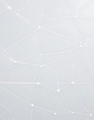 Fototapeta premium Abstract Digital Network Connection