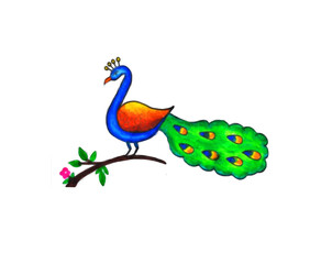 peacock PNG