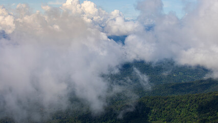 Stunning aerial view of lush green mountains blanketed by a sea of clouds. The serene landscape creates a breathtaking atmosphere, perfect for nature lovers and adventurers.