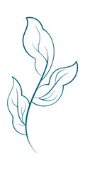 A minimalist line drawing of a stylized branch with leaves, in a single teal color on a white background.