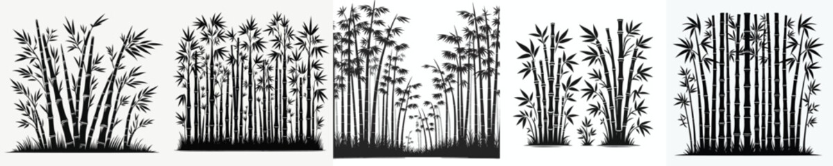bamboo plant vector set