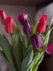 bunch of pink tulips