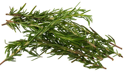 fresh rosemary bunch isolated on transparent background