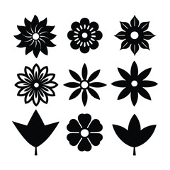 Obraz premium set of flowers