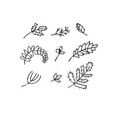 Vector illustration plants and flowers in doodle technique