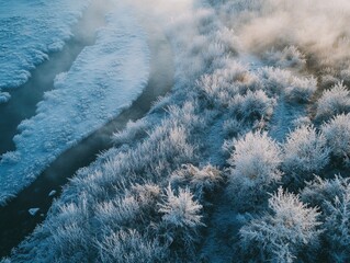 Frozen River Landscape with Trees