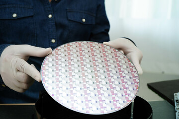Silicon wafer for manufacturing semiconductor of integrated circuit.