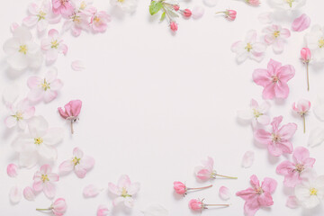 pink and white apple flowers on white background