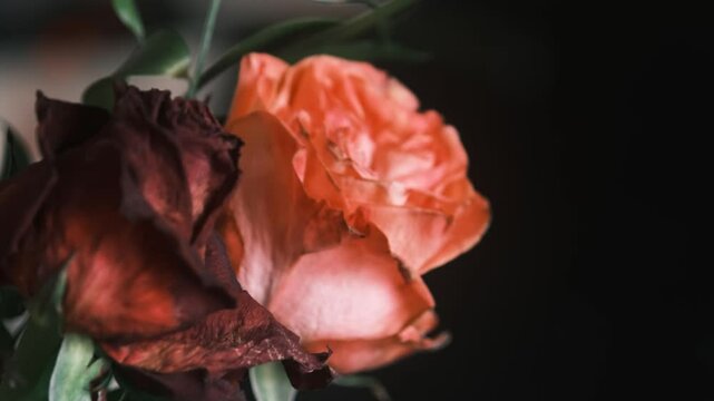 bouquet de fleurs fan&eacute;es