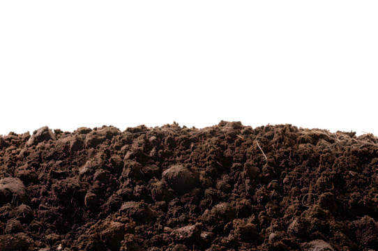 Fertile soil closeup, texture background. Black ground surface for gardening season. Soil isolated on white background