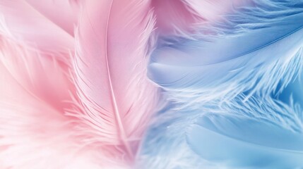 Obraz premium Abstract Soft Pastel Feathers Background