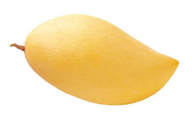 Yellow Mango fruit  Isolated on transparent background