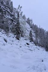 lapland winter nature