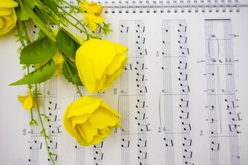 음표가 그려져있는 음악책과 소품(꽃, 식물), 아름다운 음악