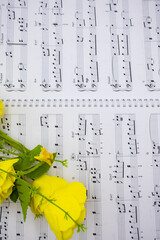 음표가 그려져있는 음악책과 소품(꽃, 식물), 아름다운 음악