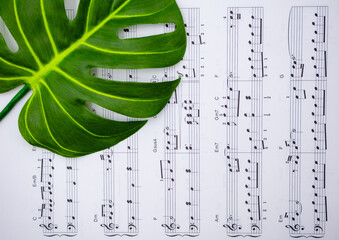 음표가 그려져있는 음악책과 소품(꽃, 식물), 아름다운 음악