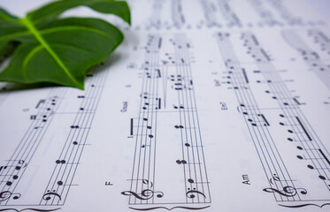 음표가 그려져있는 음악책과 소품(꽃, 식물), 아름다운 음악