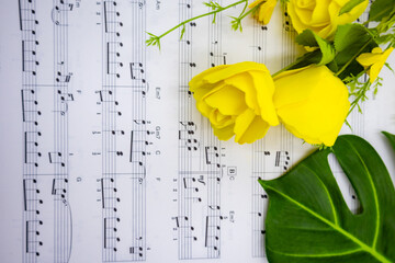 음표가 그려져있는 음악책과 소품(꽃, 식물), 아름다운 음악