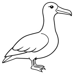 Elegant Albatross Single Line Vector Illustration