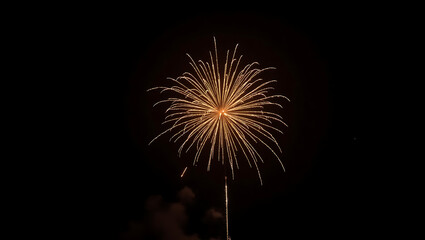  Golden Firework Burst in the Night Sky – Spectacular Celebration Display.