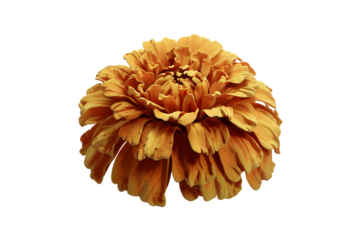 A Stunningly Realistic Artificial Marigold Flower