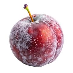Frost Bite Plum isolated on white background
