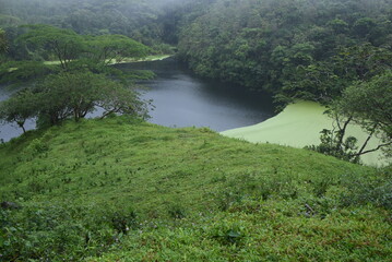 Obraz premium lake in the forest