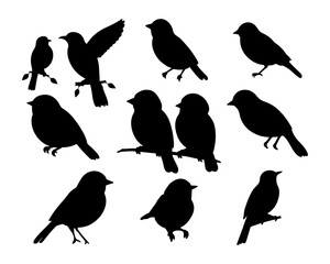 Black Silhouettes of Birds Minimalist Vector Collection
