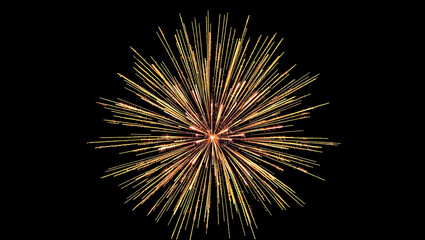 Fototapeta premium A Brilliant Golden Firework Burst in the Night Sky – Spectacular Celebration Display