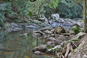 Queensland Creek