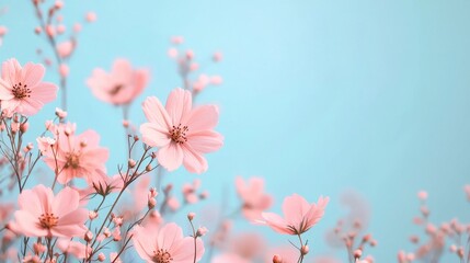 A serene image of delicate pink flowers against a calming blue background, evoking a sense of tranquility and natural beauty.