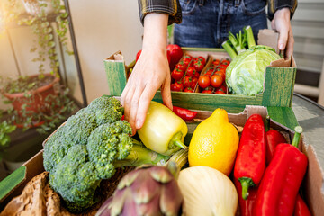 Person unboxing fresh organic farm-grown vegetable delivery at home