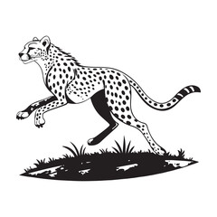 Cheetah   Vector 
