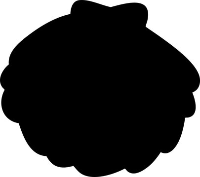 silhouette shell