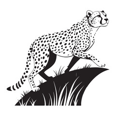 Cheetah   Vector 
