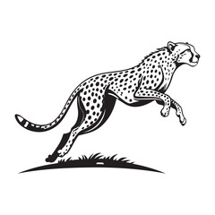 Cheetah   Vector 