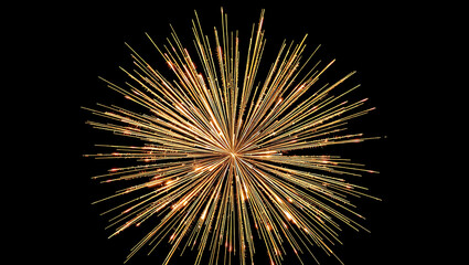 Fototapeta premium A Brilliant Golden Firework Burst in the Night Sky – Spectacular Celebration Display